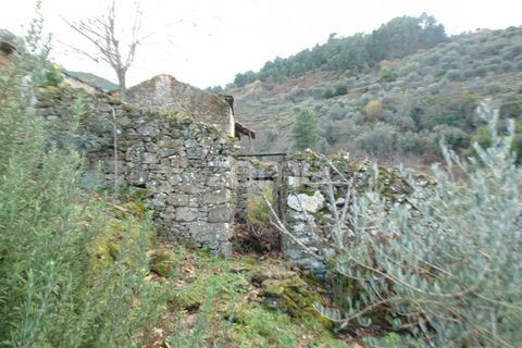 Farm i Sabrosa, Vila Real, Sabrosa - € 69.900 | Ref: ZMPT537847 - foto 18