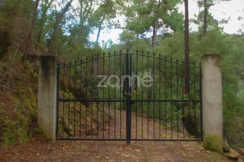 Farm i Sabrosa, Vila Real, Sabrosa - € 69.900 | Ref: ZMPT537847 - foto 23