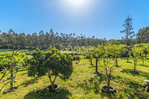 Villa i Vila do Conde, Porto, Vila do Conde - € 1.200.000 | Ref: ZMPT577478 - foto 4