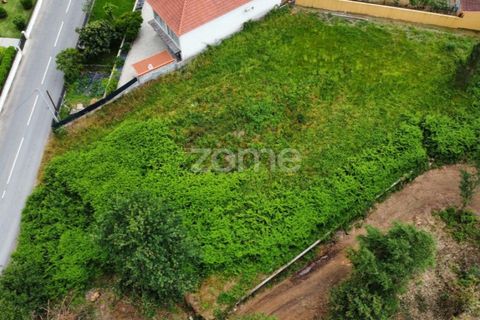 Helårsgrund i Vila Verde, Braga, Vila Verde - € 45.000 | Ref: ZMPT577955 - foto 13