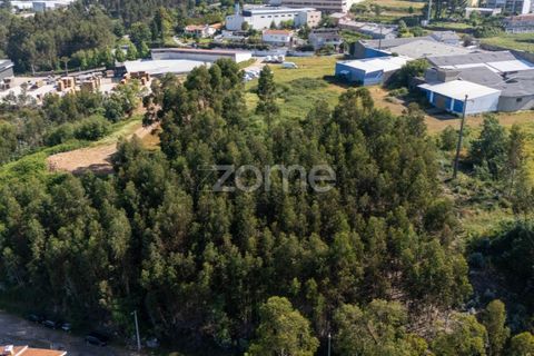 Helårsgrund i Paredes, Porto, Paredes - € 99.900 | Ref: ZMPT577946 - foto 7