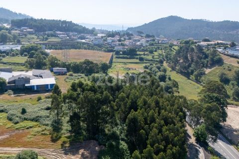 Helårsgrund i Paredes, Porto, Paredes - € 99.900 | Ref: ZMPT577946 - foto 13