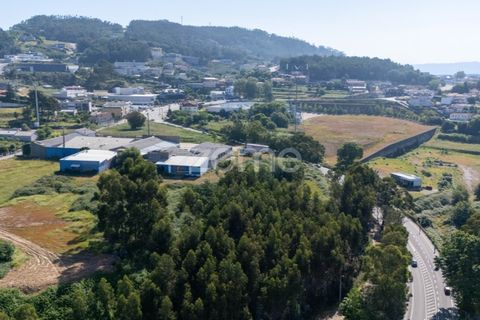Helårsgrund i Paredes, Porto, Paredes - € 99.900 | Ref: ZMPT577946 - foto 14