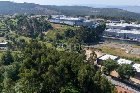 Helårsgrund i Paredes, Porto, Paredes - € 99.900 | Ref: ZMPT577946 - foto 16