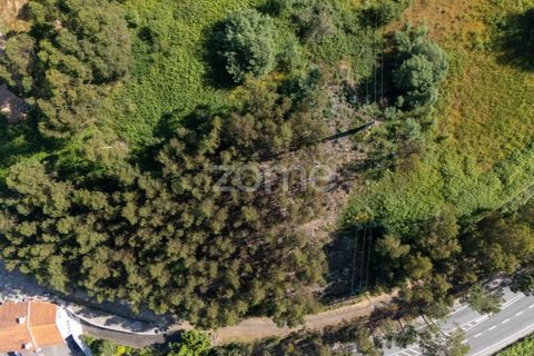 Helårsgrund i Paredes, Porto, Paredes - € 99.900 | Ref: ZMPT577946 - foto 17
