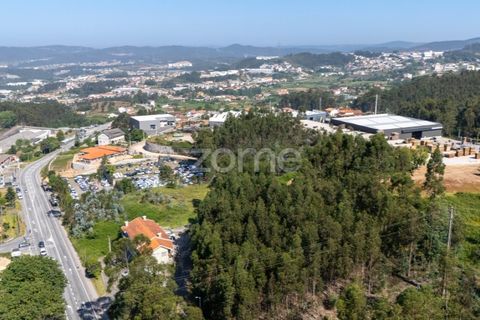 Helårsgrund i Paredes, Porto, Paredes - € 99.900 | Ref: ZMPT577946 - foto 20