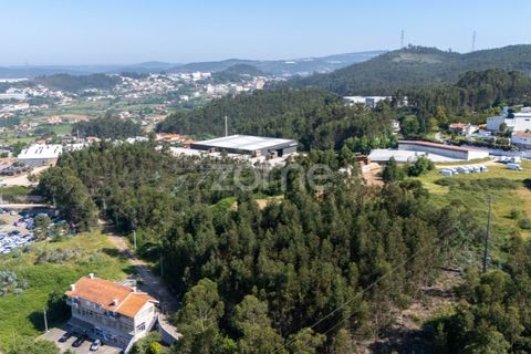 Helårsgrund i Paredes, Porto, Paredes - € 99.900 | Ref: ZMPT577946 - foto 21