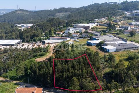 Helårsgrund i Paredes, Porto, Paredes - € 99.900 | Ref: ZMPT577946 - foto 2