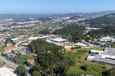 Helårsgrund i Paredes, Porto, Paredes - € 99.900 | Ref: ZMPT577946 - foto 3