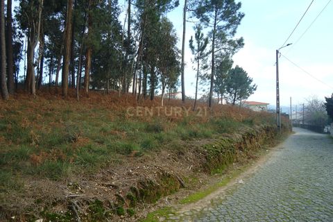 Helårsgrund i Barcelos, Braga, Barcelos - € 46.000 | Ref: C0257-01121 - foto 7