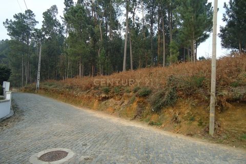 Helårsgrund i Barcelos, Braga, Barcelos - € 46.000 | Ref: C0257-01121 - foto 9