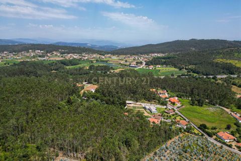 Helårsgrund i Barcelos, Braga, Barcelos - € 46.000 | Ref: C0257-01121 - foto 6