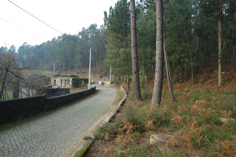 Helårsgrund i Barcelos, Braga, Barcelos - € 42.000 | Ref: C0257-01122 - foto 6