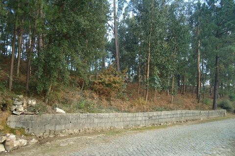 Helårsgrund i Barcelos, Braga, Barcelos - € 42.000 | Ref: C0257-01122 - foto 7