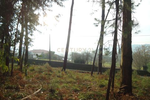 Helårsgrund i Barcelos, Braga, Barcelos - € 42.000 | Ref: C0257-01122 - foto 10