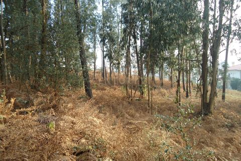 Helårsgrund i Barcelos, Braga, Barcelos - € 42.000 | Ref: C0257-01122 - foto 12