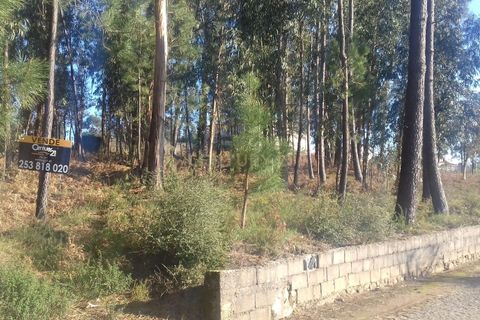 Helårsgrund i Barcelos, Braga, Barcelos - € 42.000 | Ref: C0257-01122 - foto 14