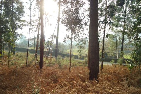 Helårsgrund i Barcelos, Braga, Barcelos - € 42.000 | Ref: C0257-01122 - foto 16