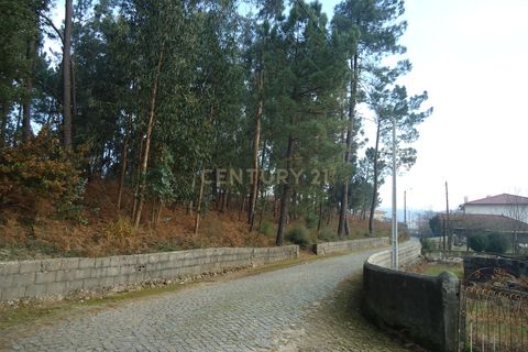 Helårsgrund i Barcelos, Braga, Barcelos - € 42.000 | Ref: C0257-01122 - foto 17
