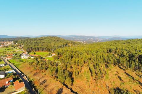 Helårsgrund i Barcelos, Braga, Barcelos - € 180.000 | Ref: C0257-01186 - foto 9