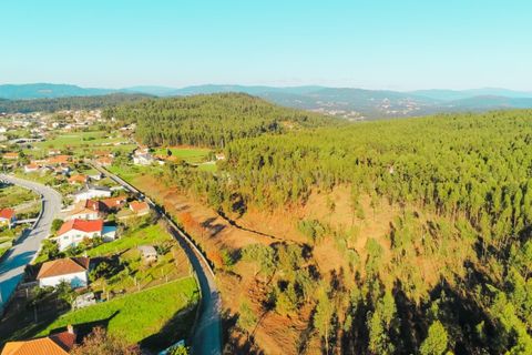 Helårsgrund i Barcelos, Braga, Barcelos - € 180.000 | Ref: C0257-01186 - foto 13