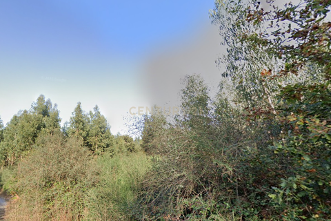 Helårsgrund i Barcelos, Braga, Barcelos - € 13.000 | Ref: C0257-01207 - foto 3