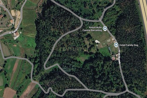 Terra em Barcelos, Braga, Barcelos - € 13.000 | Ref: C0257-01207 - foto 1