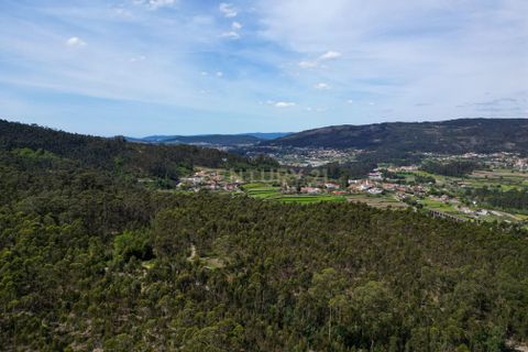 Helårsgrund i Barcelos, Braga, Barcelos - € 66.000 | Ref: C0257-01227 - foto 13