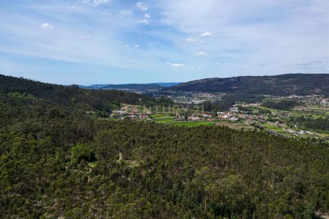 Helårsgrund i Barcelos, Braga, Barcelos - € 46.000 | Ref: C0257-01226 - foto 7
