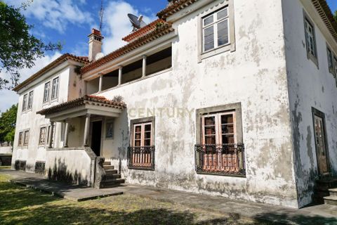 Villa i Barcelos, Braga, Barcelos - € 1.295.000 | Ref: C0257-01233 - foto 9