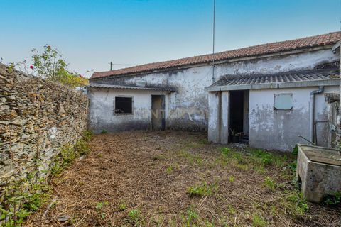 Erhvervsejendom i Apulia, Braga, Apulia - € 200.000 | Ref: C0257-01260 - foto 12