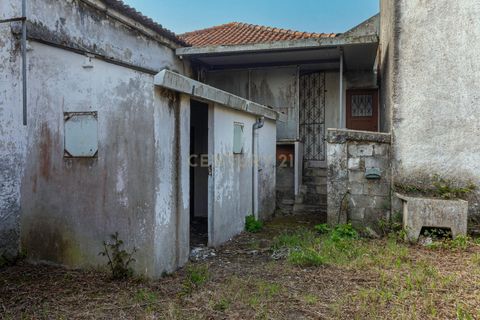 Erhvervsejendom i Apulia, Braga, Apulia - € 200.000 | Ref: C0257-01260 - foto 10