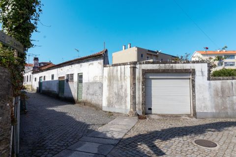 Erhvervsejendom i Apulia, Braga, Apulia - € 200.000 | Ref: C0257-01260 - foto 14