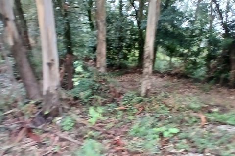 Helårsgrund i Barcelos, Braga, Barcelos - € 78.000 | Ref: C0257-01294 - foto 3