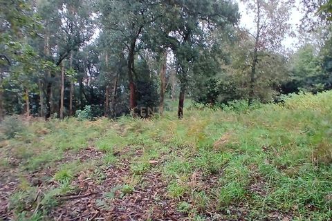 Helårsgrund i Barcelos, Braga, Barcelos - € 78.000 | Ref: C0257-01294 - foto 7