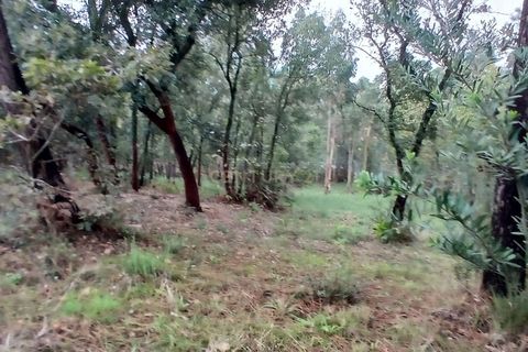 Helårsgrund i Barcelos, Braga, Barcelos - € 78.000 | Ref: C0257-01294 - foto 8