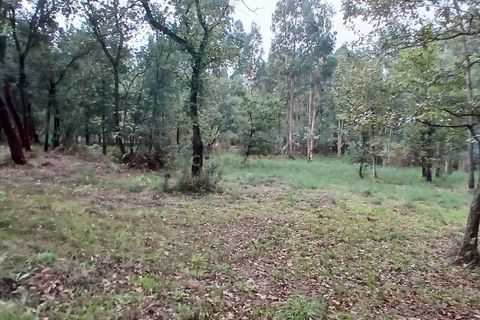 Helårsgrund i Barcelos, Braga, Barcelos - € 78.000 | Ref: C0257-01294 - foto 10