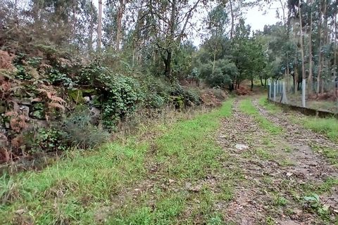 Helårsgrund i Barcelos, Braga, Barcelos - € 78.000 | Ref: C0257-01294 - foto 12
