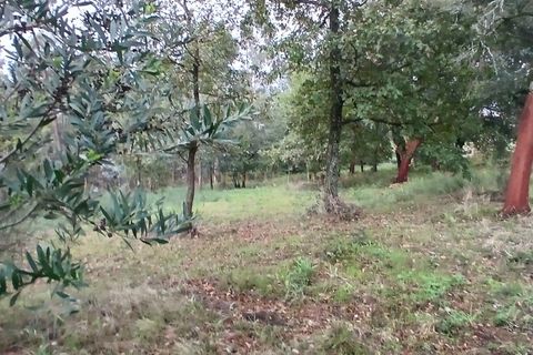 Helårsgrund i Barcelos, Braga, Barcelos - € 78.000 | Ref: C0257-01294 - foto 13