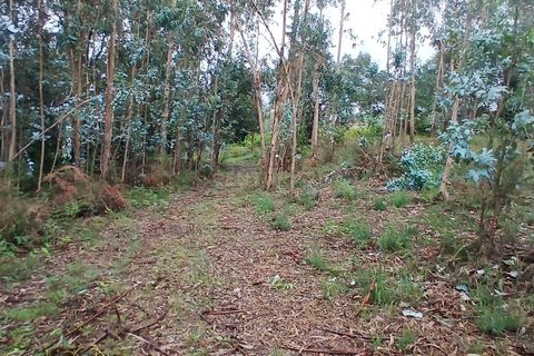 Helårsgrund i Barcelos, Braga, Barcelos - € 78.000 | Ref: C0257-01294 - foto 14