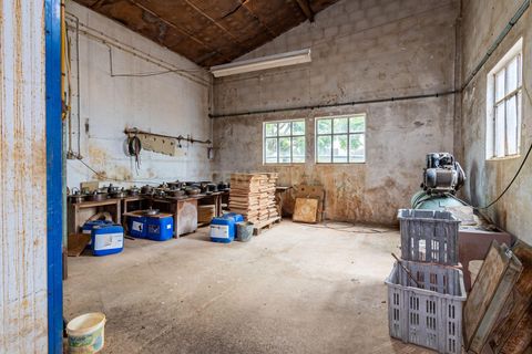 Erhvervsejendom i Barcelos, Braga, Barcelos - € 160.000 | Ref: C0257-01307 - foto 21