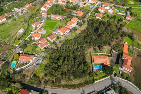 Helårsgrund i Esposende, Braga, Esposende - € 420.000 | Ref: C0257-01329 - foto 1