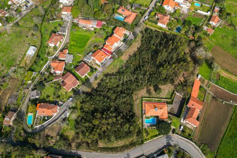 Helårsgrund i Esposende, Braga, Esposende - € 420.000 | Ref: C0257-01329 - foto 4