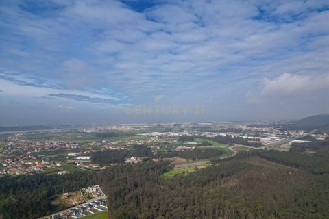 Helårsgrund i Esposende, Braga, Esposende - € 420.000 | Ref: C0257-01329 - foto 9