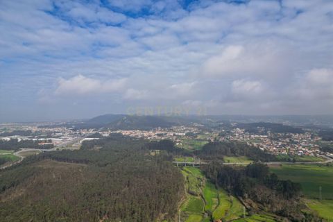 Helårsgrund i Esposende, Braga, Esposende - € 420.000 | Ref: C0257-01329 - foto 10