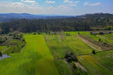 Helårsgrund i Paderne, Faro, Paderne - € 25.000 | Ref: C0257-01339 - foto 2