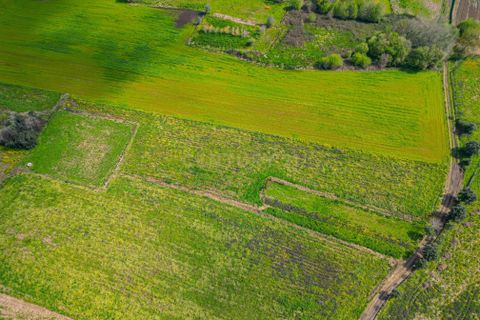 Helårsgrund i Paderne, Faro, Paderne - € 25.000 | Ref: C0257-01339 - foto 3