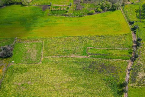 Helårsgrund i Paderne, Faro, Paderne - € 25.000 | Ref: C0257-01339 - foto 5