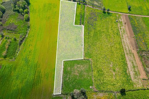 Helårsgrund i Paderne, Faro, Paderne - € 25.000 | Ref: C0257-01339 - foto 6
