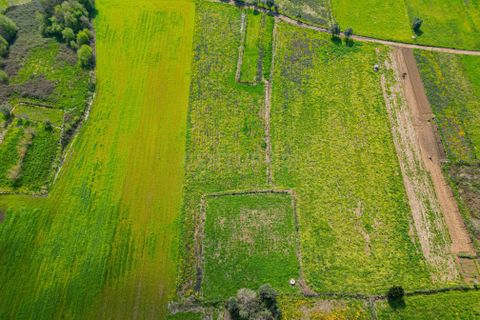 Helårsgrund i Paderne, Faro, Paderne - € 25.000 | Ref: C0257-01339 - foto 7